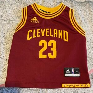 Authentic TODDLER LeBron James #23 Cleveland Cavaliers 2015 NBA Jersey 2T